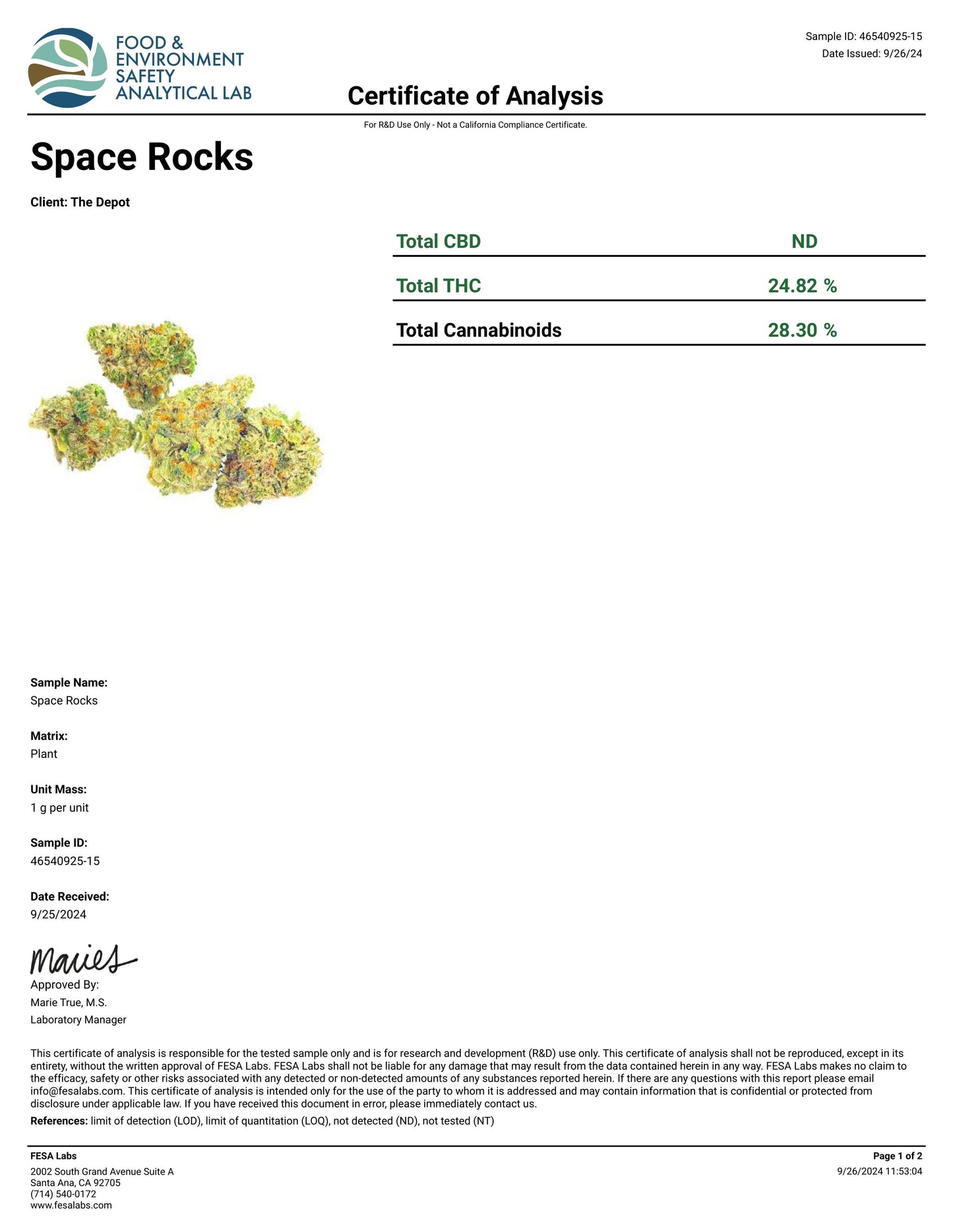 Space Rocks