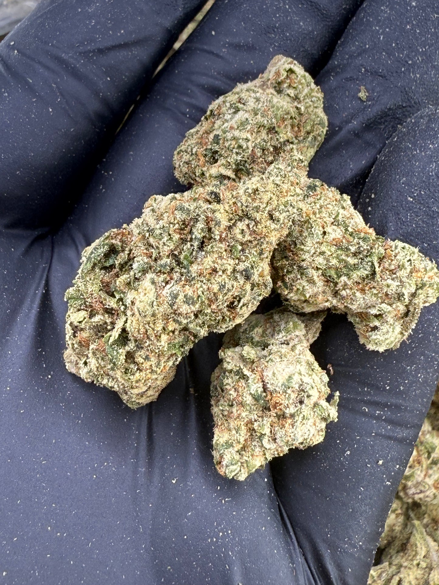 Zkittlez x Georgia Pie