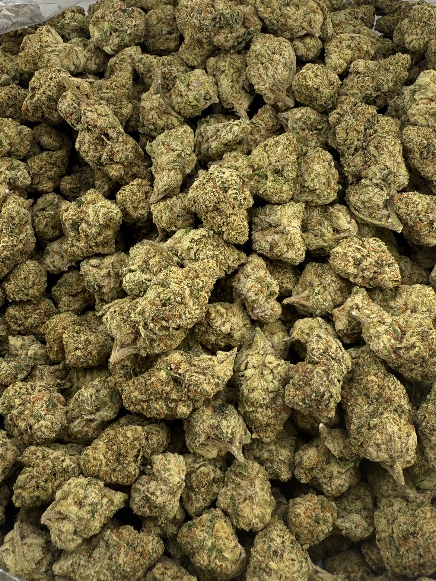 Zkittlez x Georgia Pie