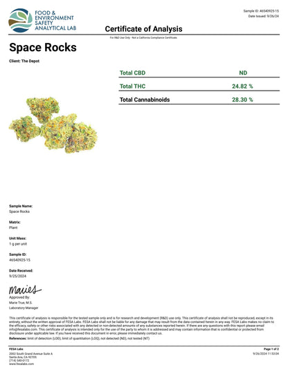 Space Rocks